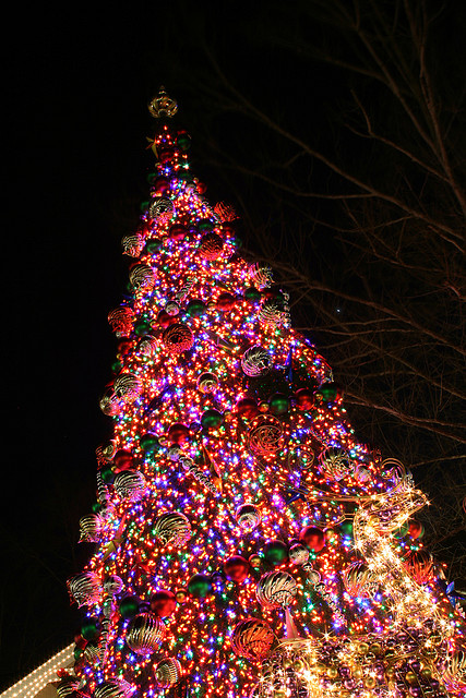 Dollywood Christmas Lights Pictures Wallpapers